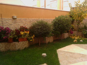 Logement Entier Daimiel 92041-12