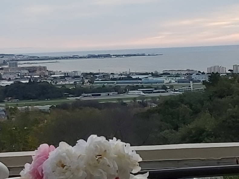 Entire Home Mandelieu-la-Napoule 306840-1