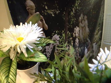 Logement Entier Madrid 210317-12