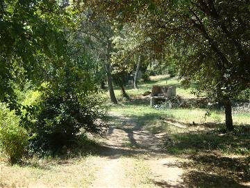 Room For Rent Nîmes 58240