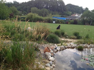 Chambre Chez L'habitant Montricher 289011-6