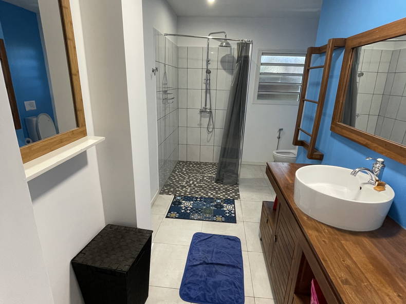 Colocation Saint-Pierre 317988-3