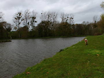 Bed And Breakfast Saint-Patrice-De-Claids 25509-4