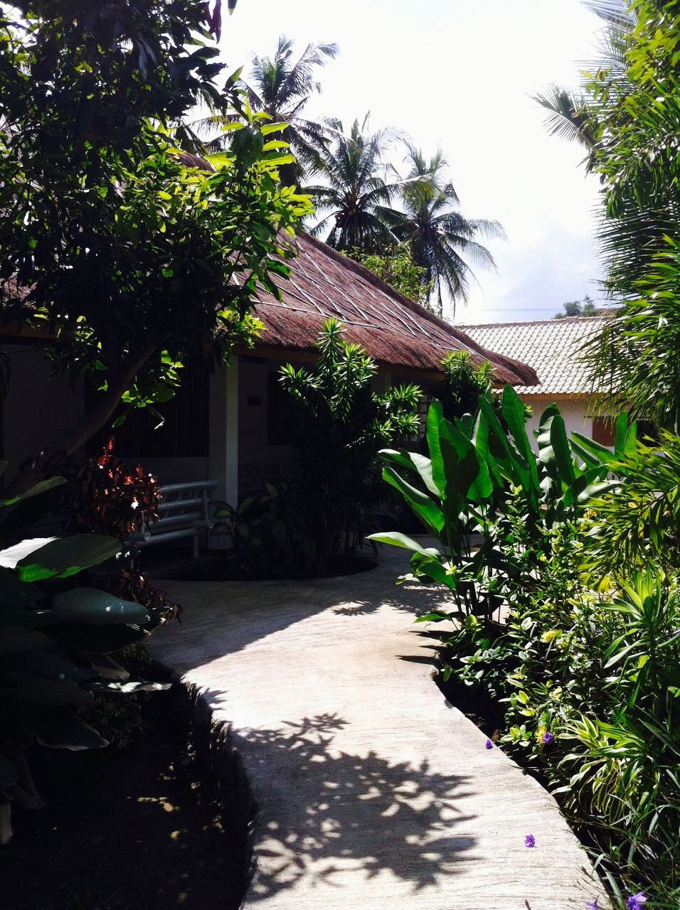 Independent Studio Nusa Tenggara Barat 138452