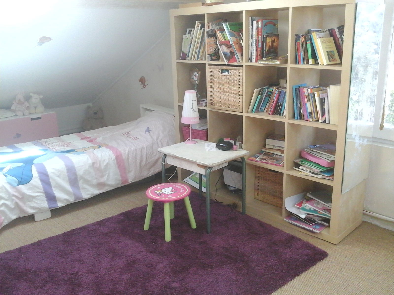 Homestay Lyon 74862