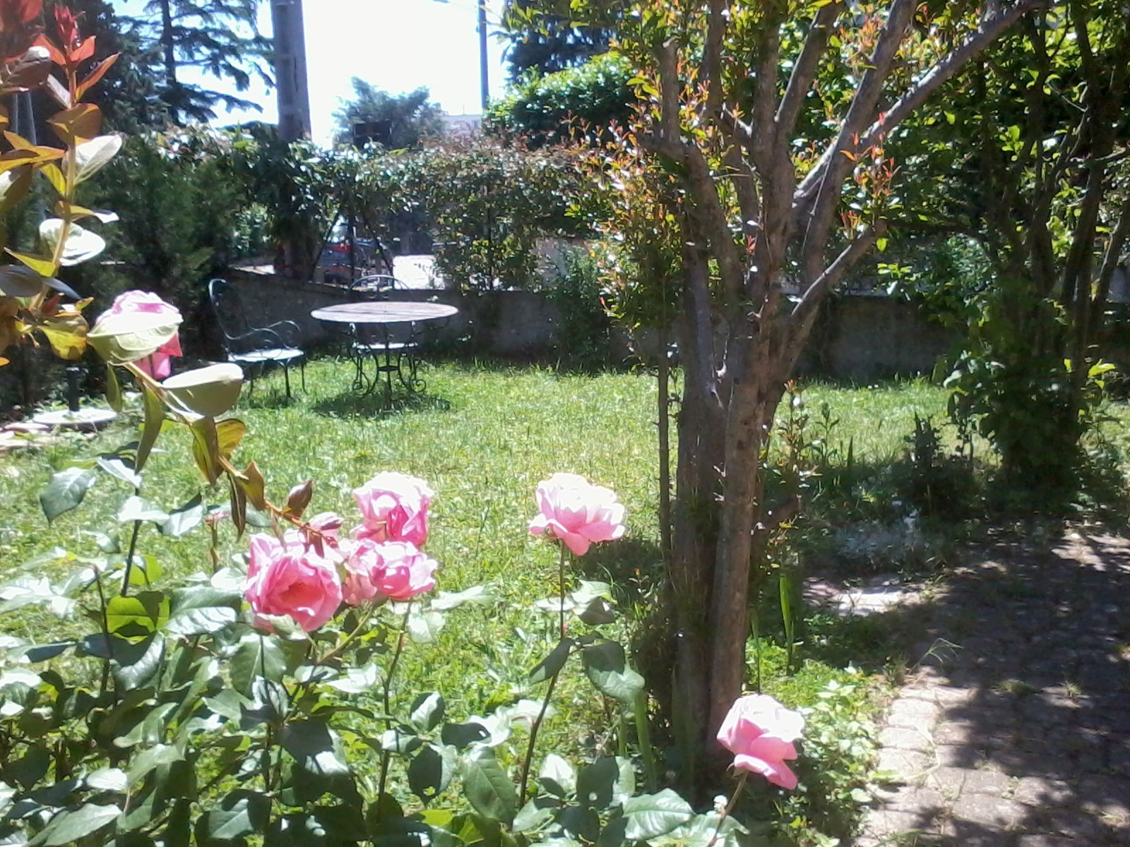 Homestay Lyon 74862