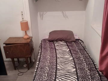 Chambre À Louer Lyon 352439