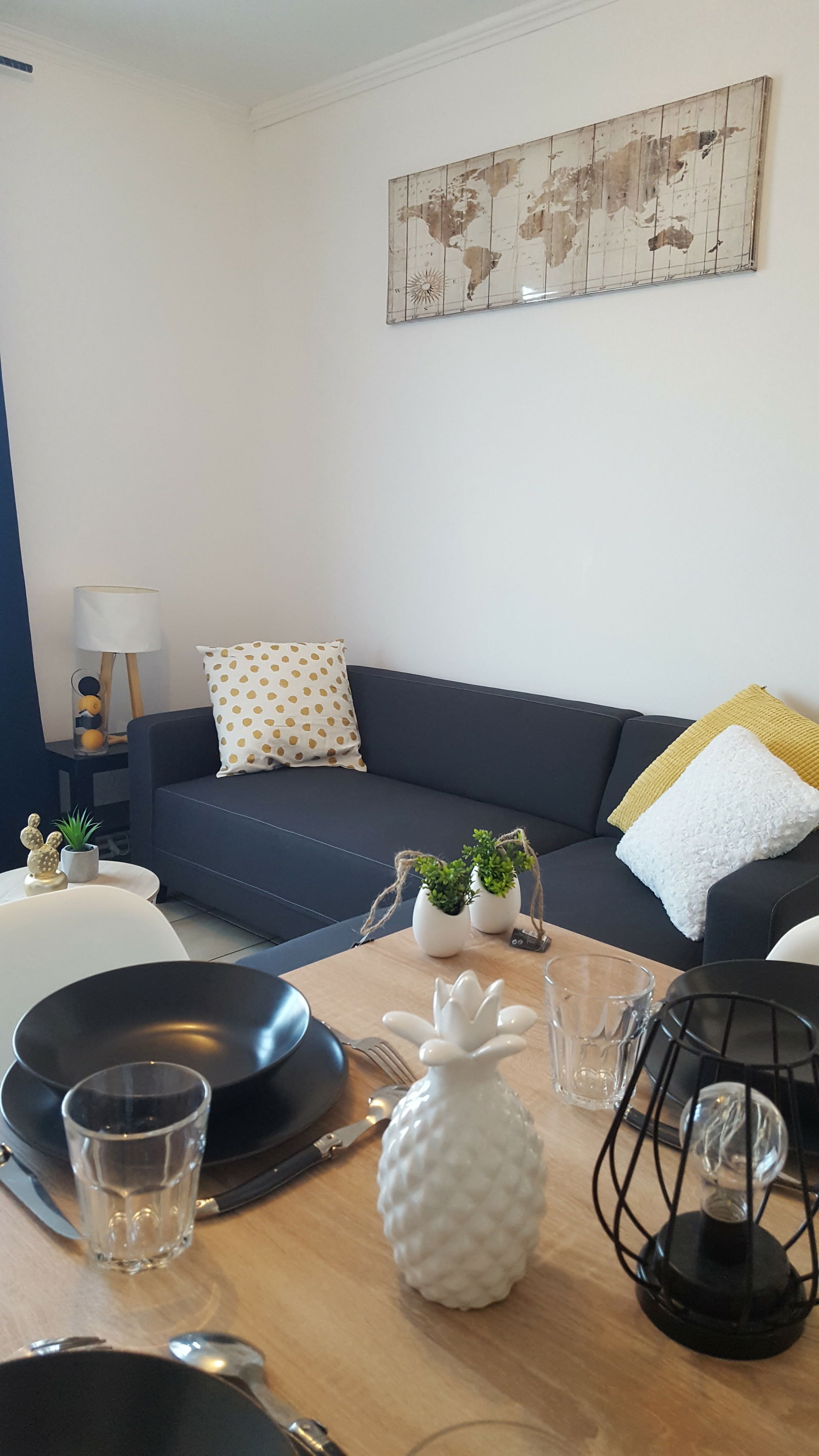 Colocation Saint-Martin-d'Hères 232999