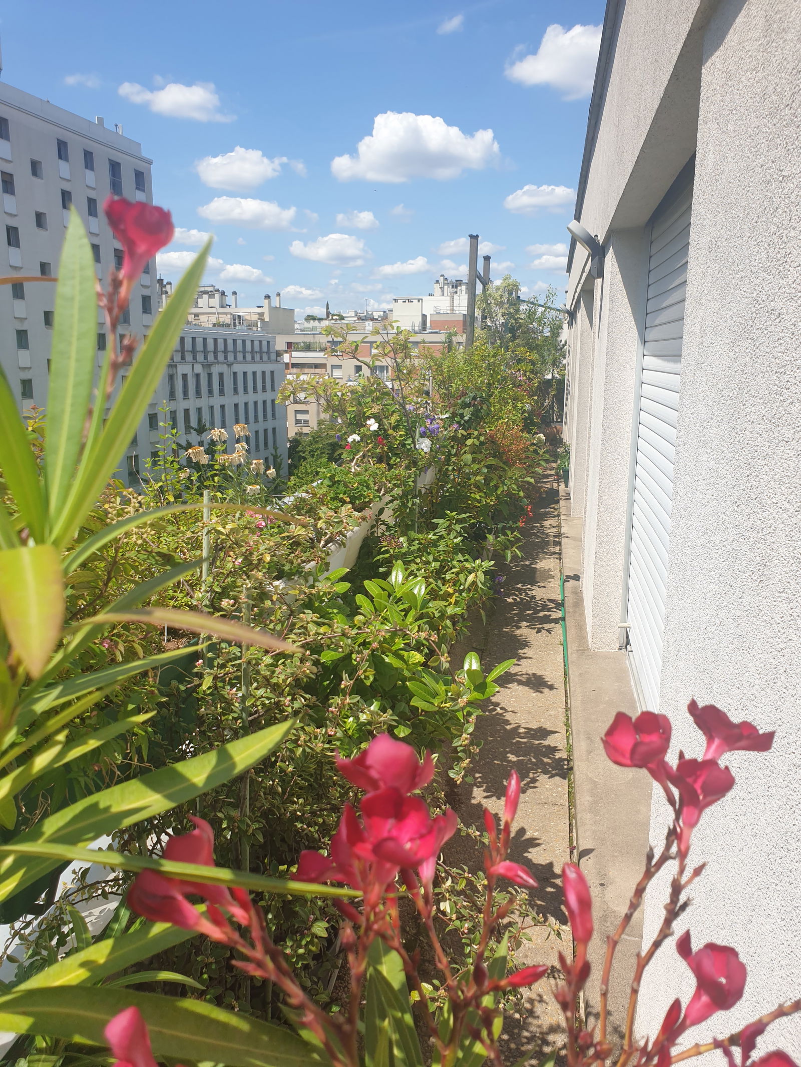 Hjemmeophold Paris 253403