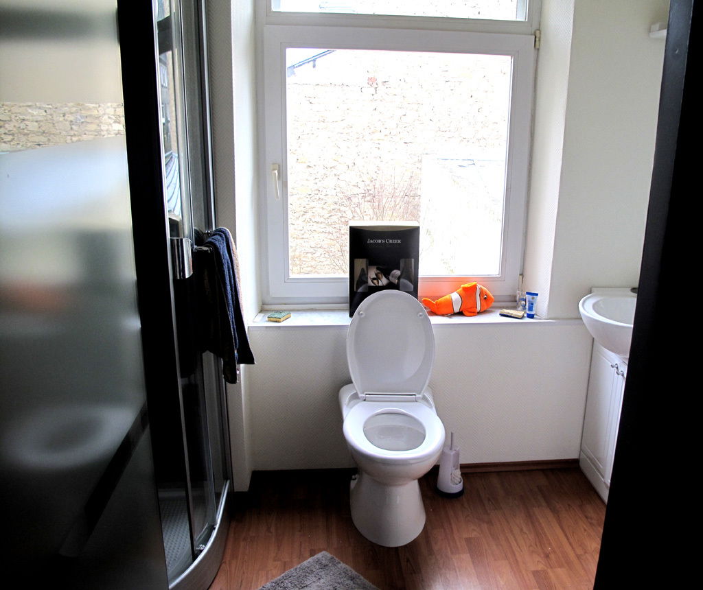 Entire Home Arlon 229548