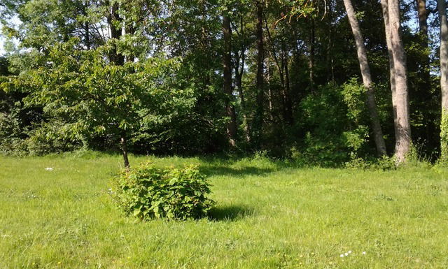 Järjestäminen Aze 26005