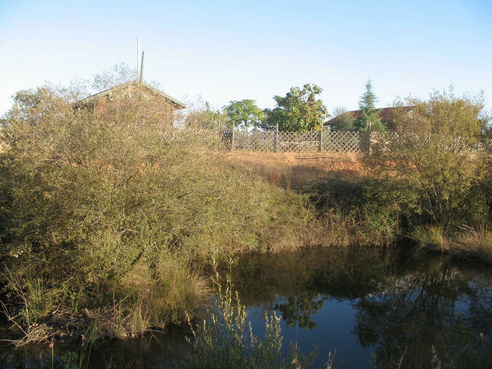 Itsenäinen Studio Malagón 123420