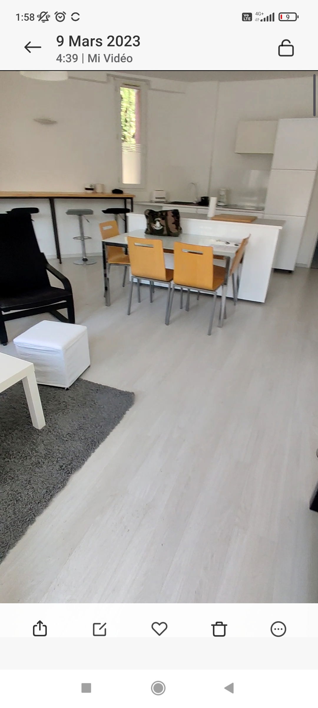 Famiglia Toulouse 265879