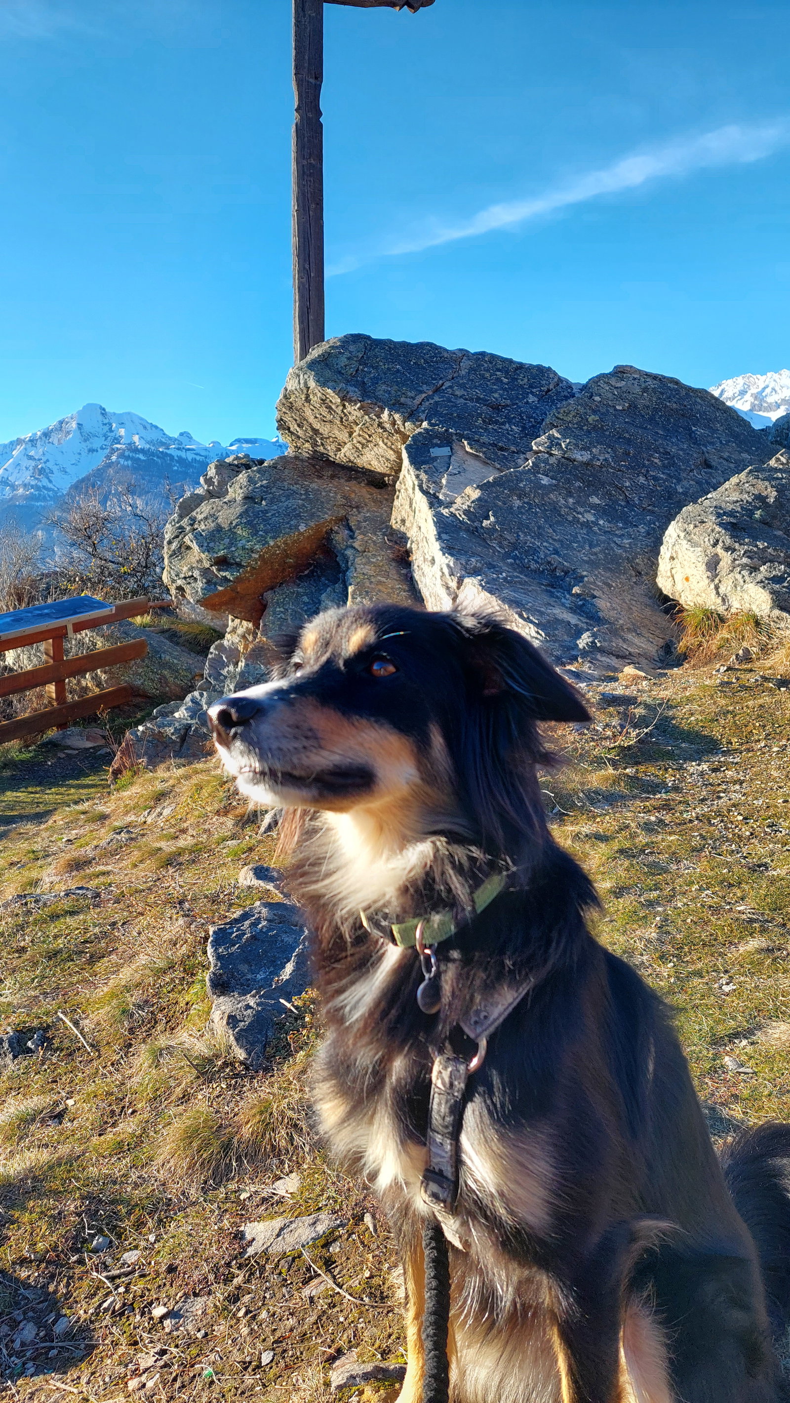 Famiglia Arbaz 663803