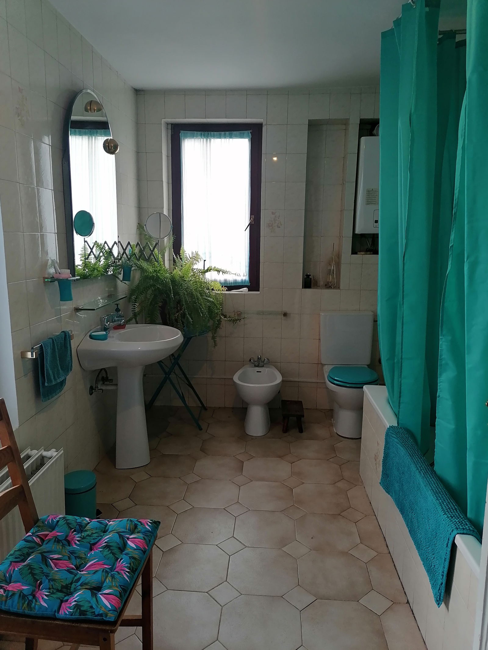 Colocación Ixelles 224336