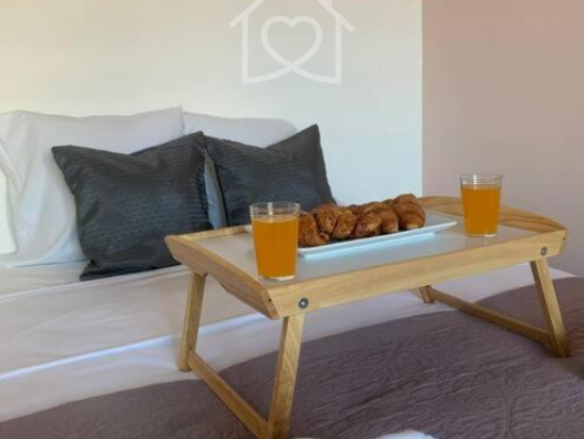 Logement Entier Villeurbanne 296655-2