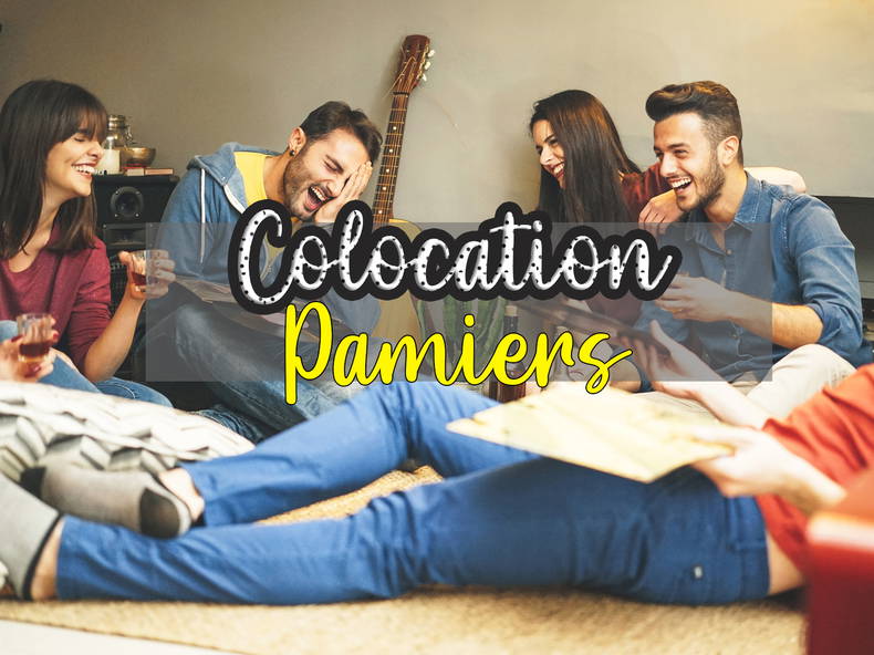 Kolokation Pamiers 252211-3