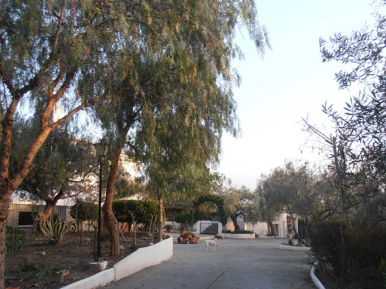 Ganzes Haus Las Gabias 4682-3