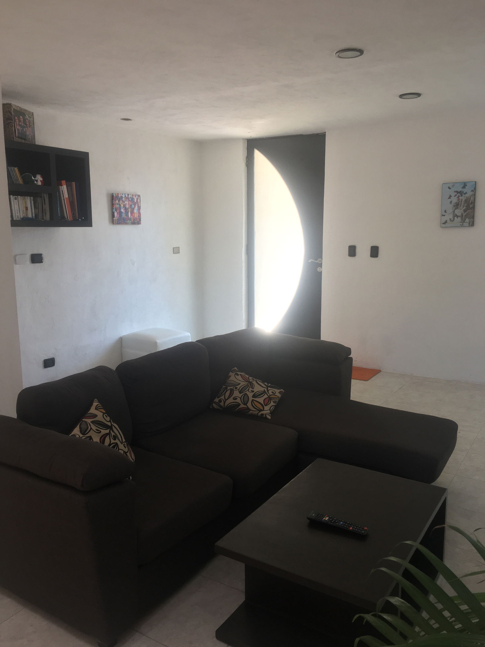 Colocation Mérida 263213