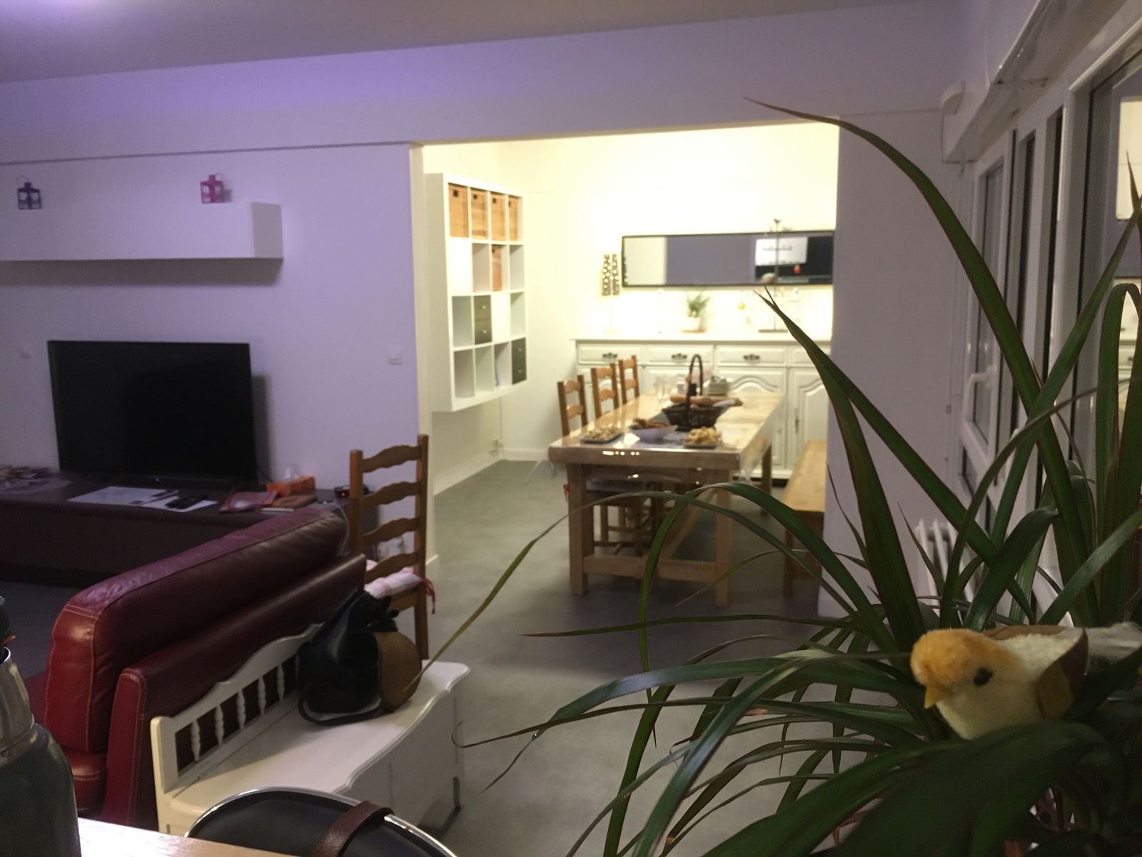 Colocation Reims 253516
