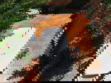 Entire Home Gassin 264722-14