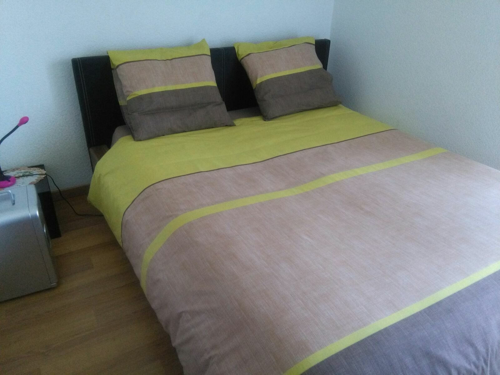 Homestay Ferney-Voltaire 165432