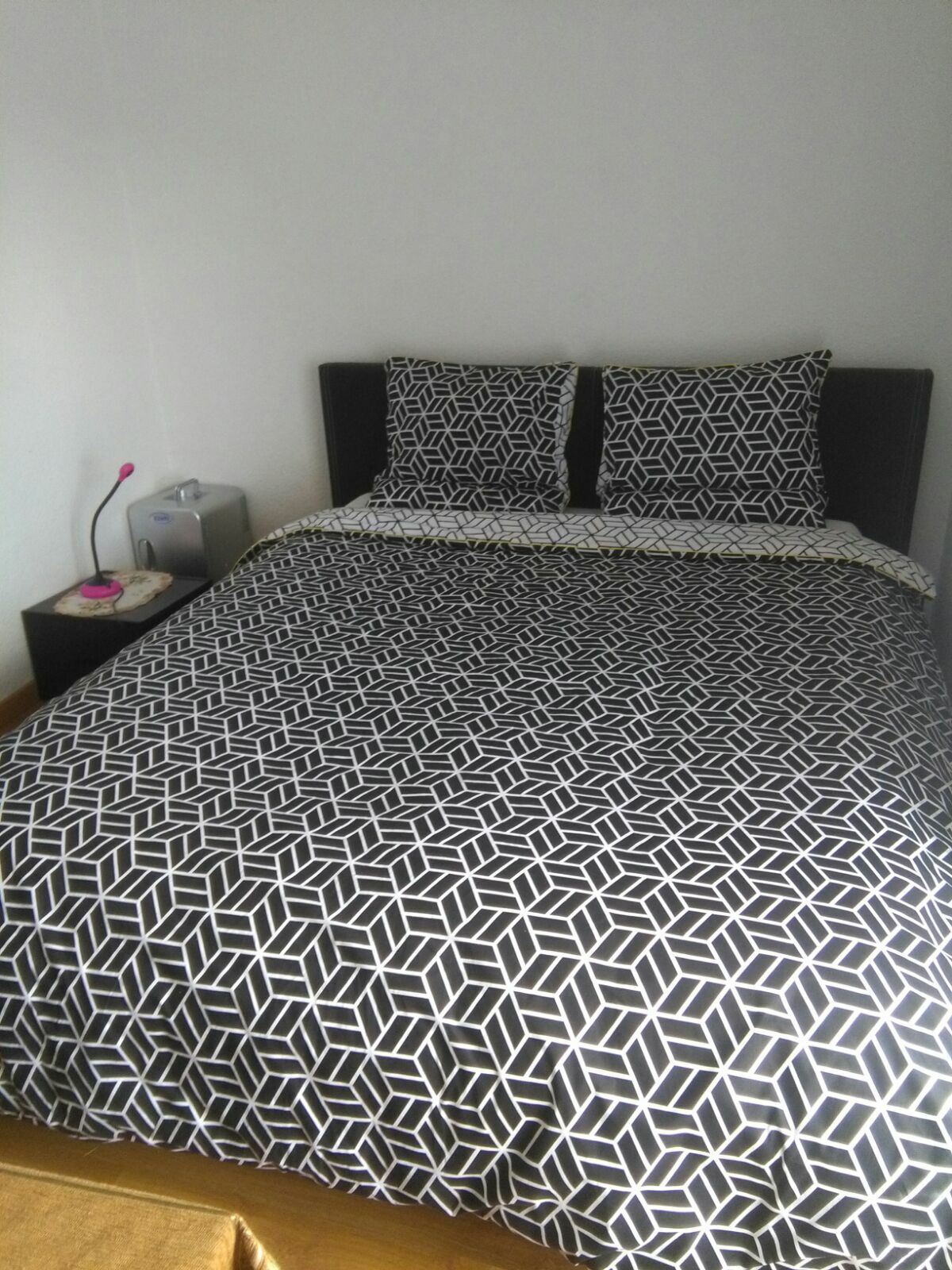 Homestay Ferney-Voltaire 165432