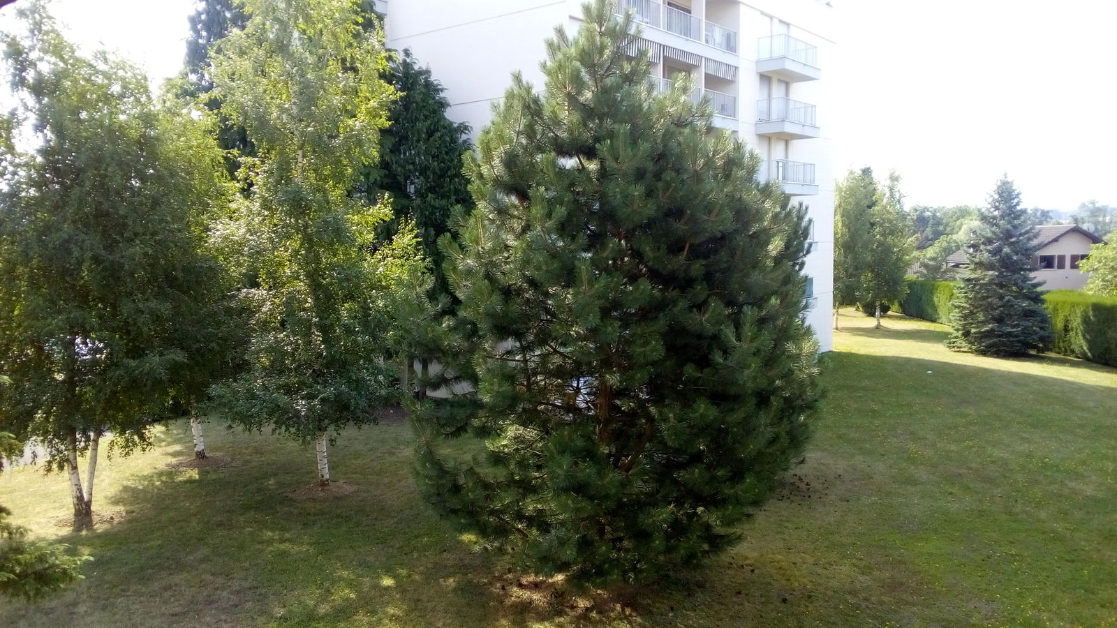 Homestay Ferney-Voltaire 165432