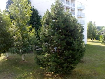 Chambre Chez L'habitant Ferney-Voltaire 165432-7