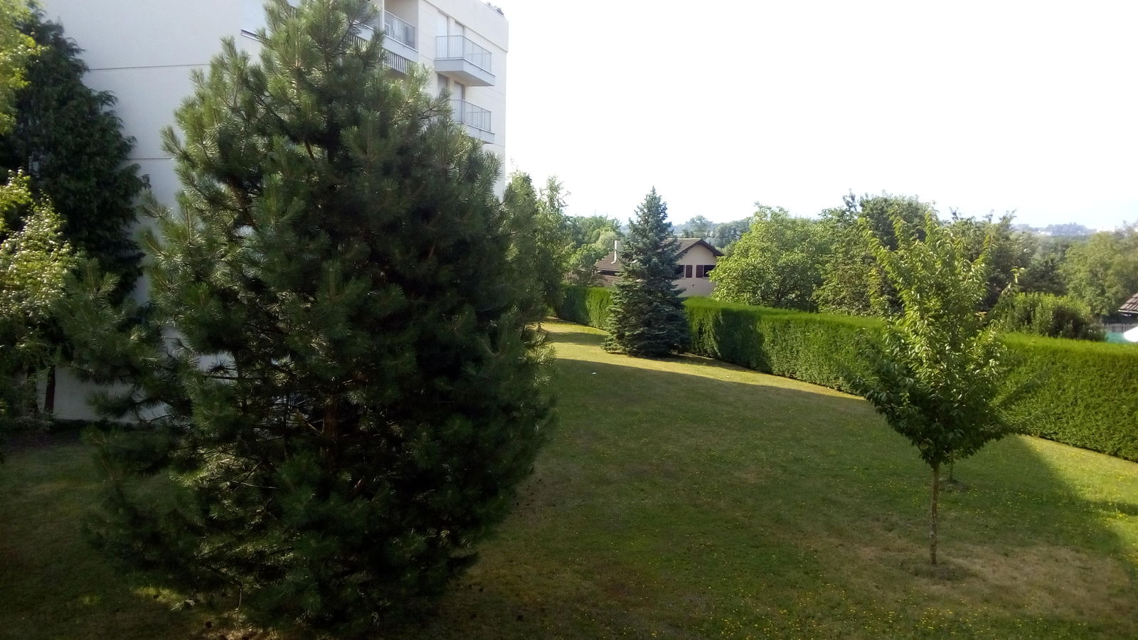 Homestay Ferney-Voltaire 165432