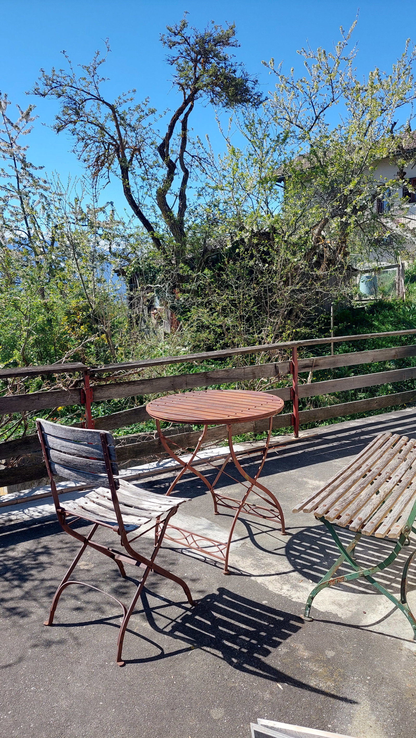 Homestay Arbaz 663803