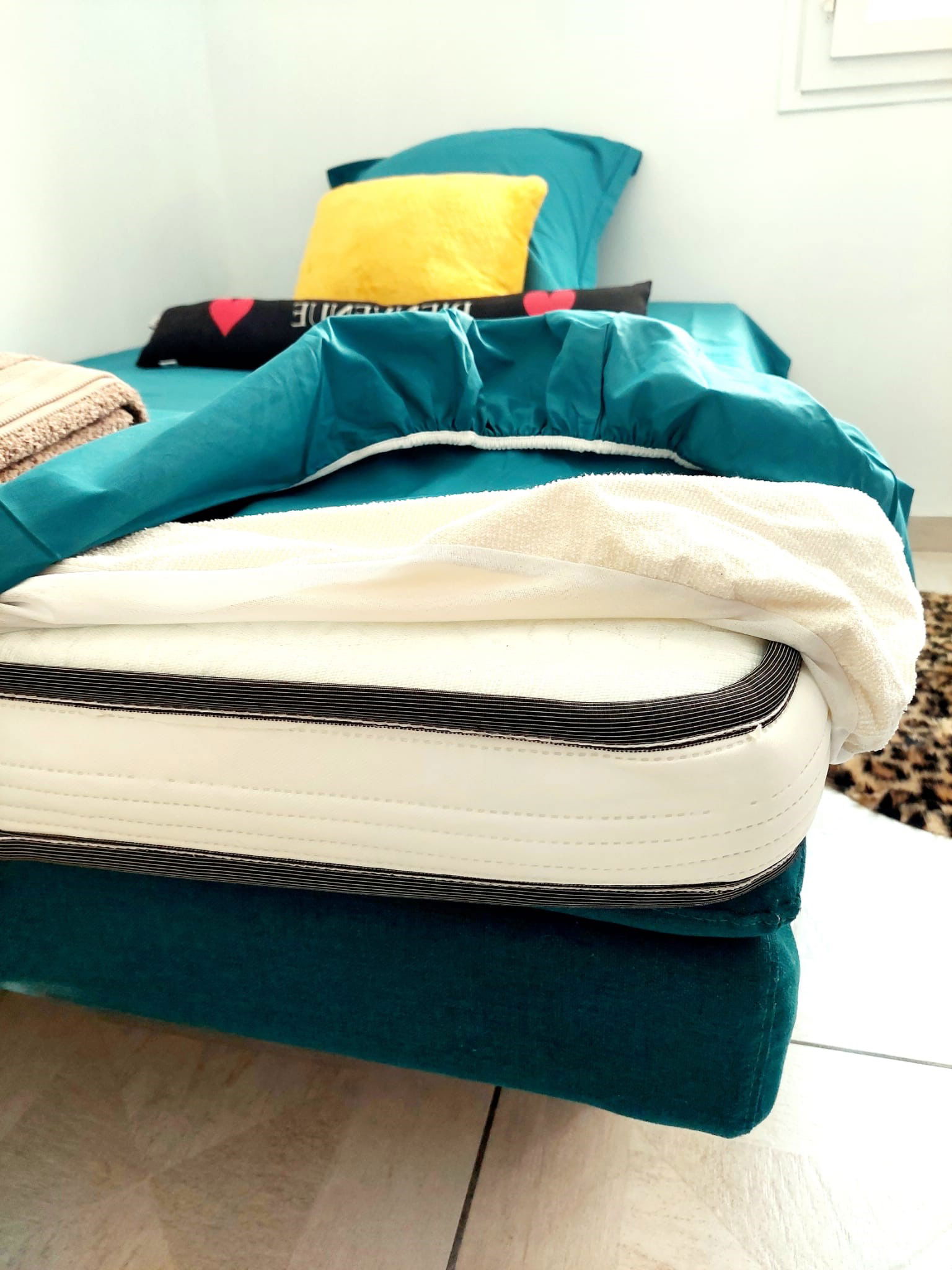 Colocation Toulon 266706