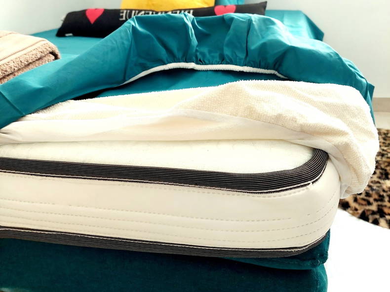 Kolokasie Toulon 266706-2