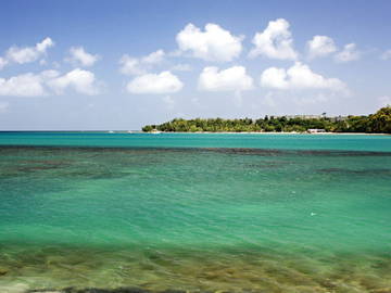 Logement Entier La Trinité 163860-9