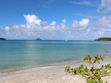 Logement Entier La Trinité 163860-10