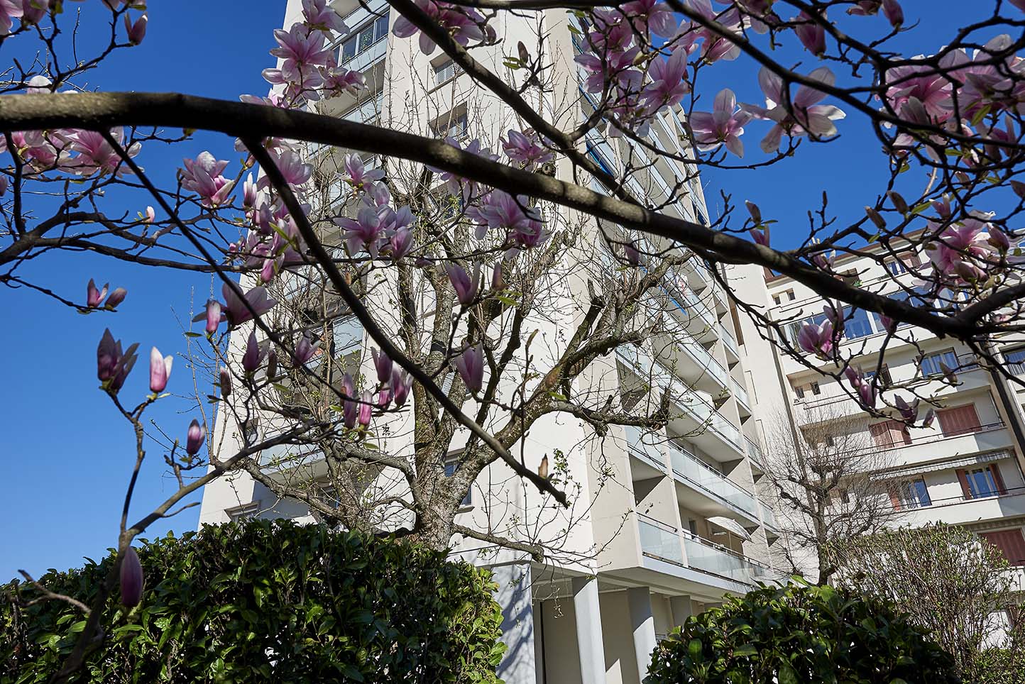 Tutta La Casa Grenoble 237163