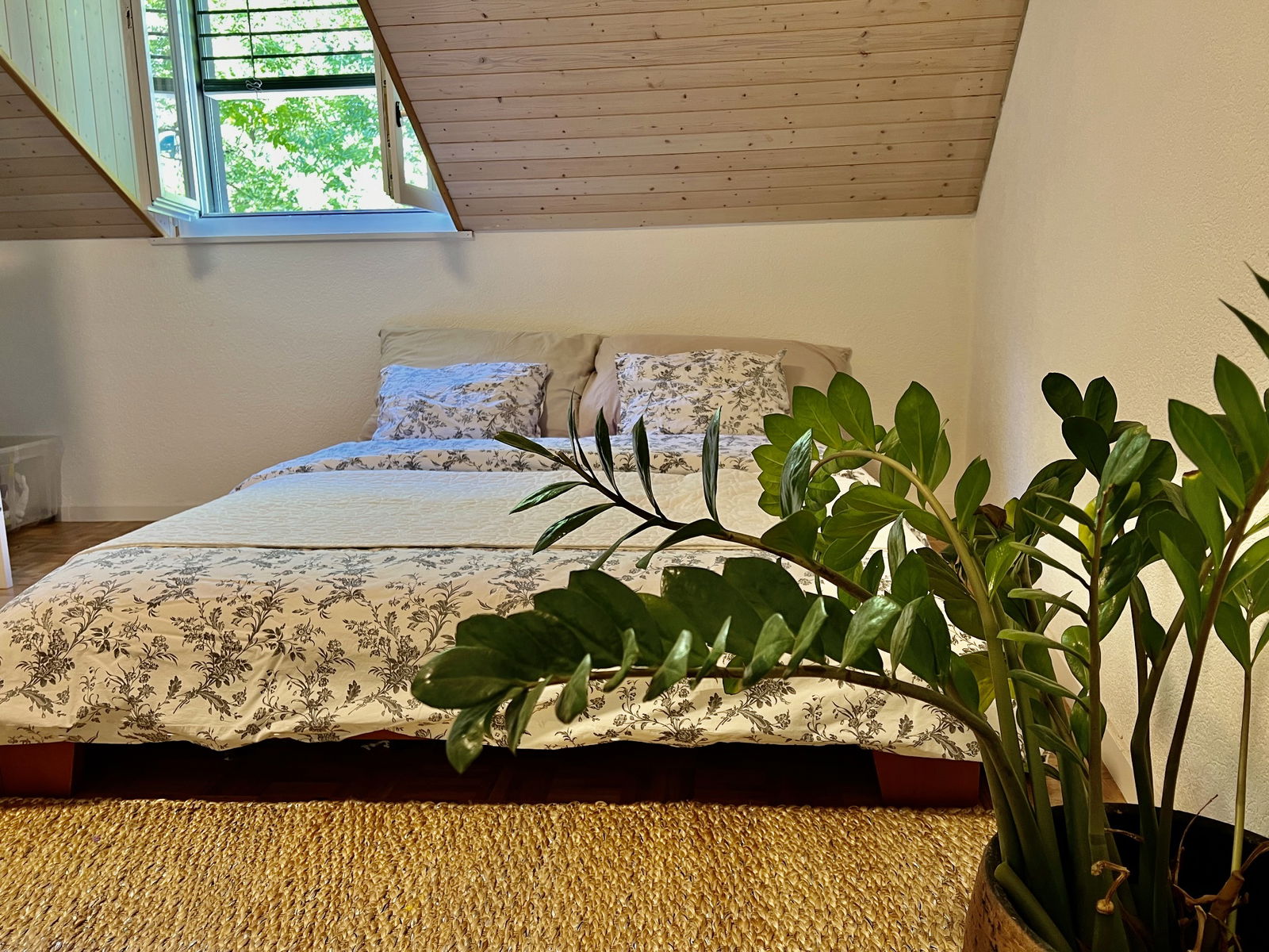 Colocação Rolle 488149