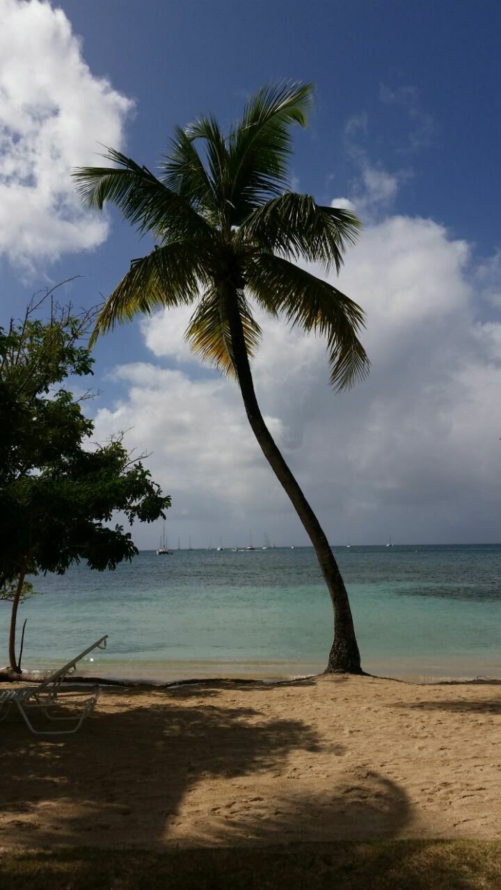 Studio Indépendant Sainte-Anne 169196