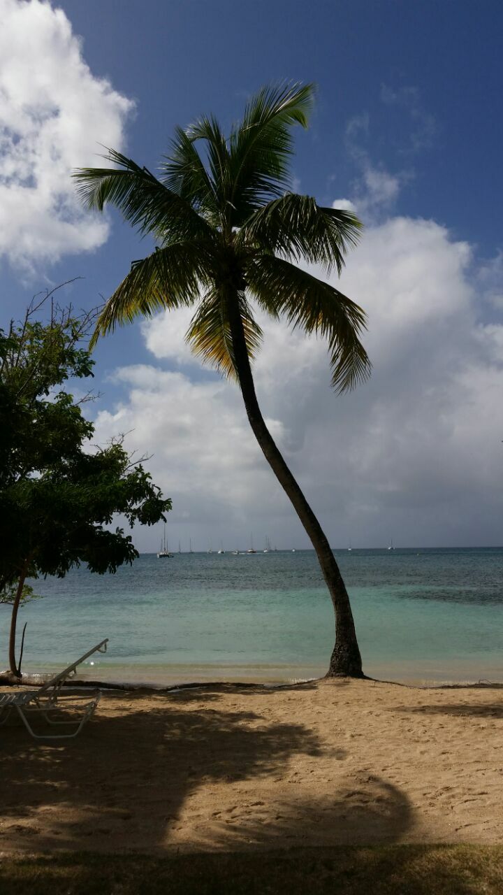 Unabhängiges Studio Sainte-Anne 169196