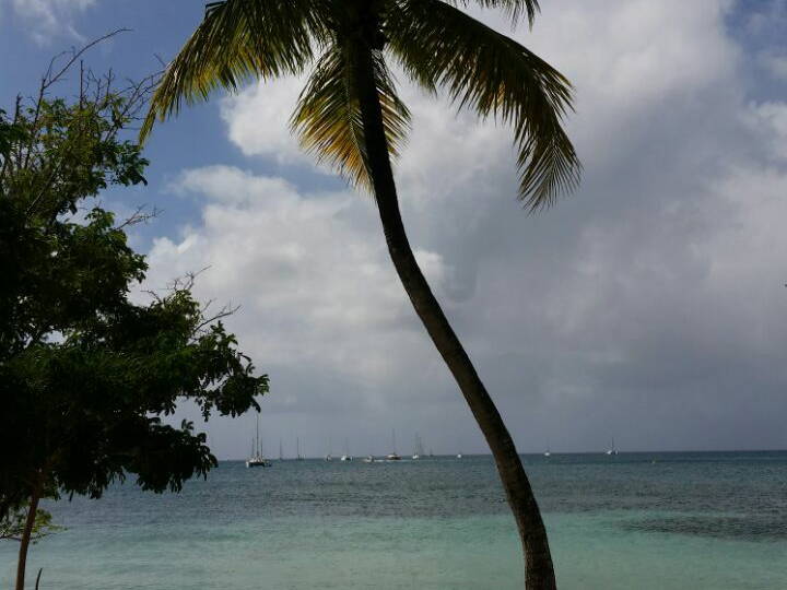 Entire Home Sainte-Anne 169196-2