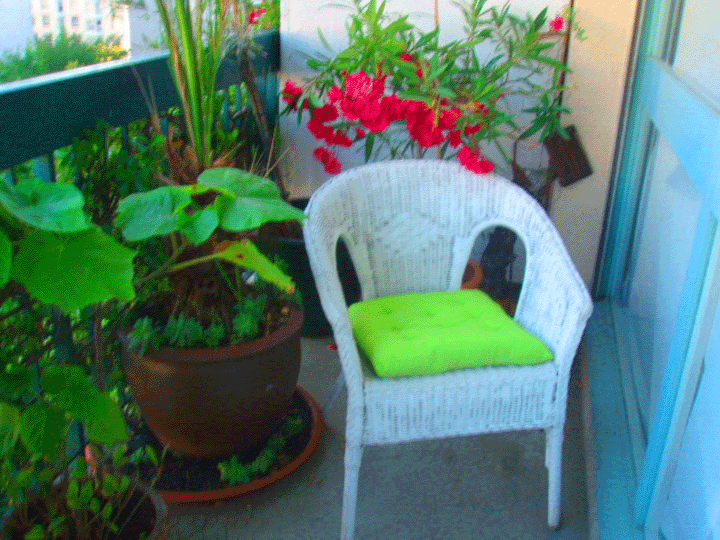 Logement Entier Paris 76193