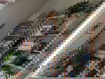 Colocation Givisiez 661206-4