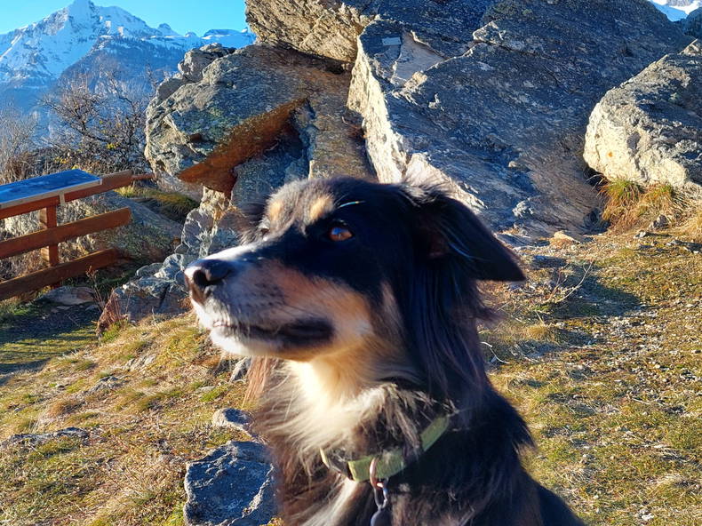 Chambre Chez L'habitant Arbaz 663803-5