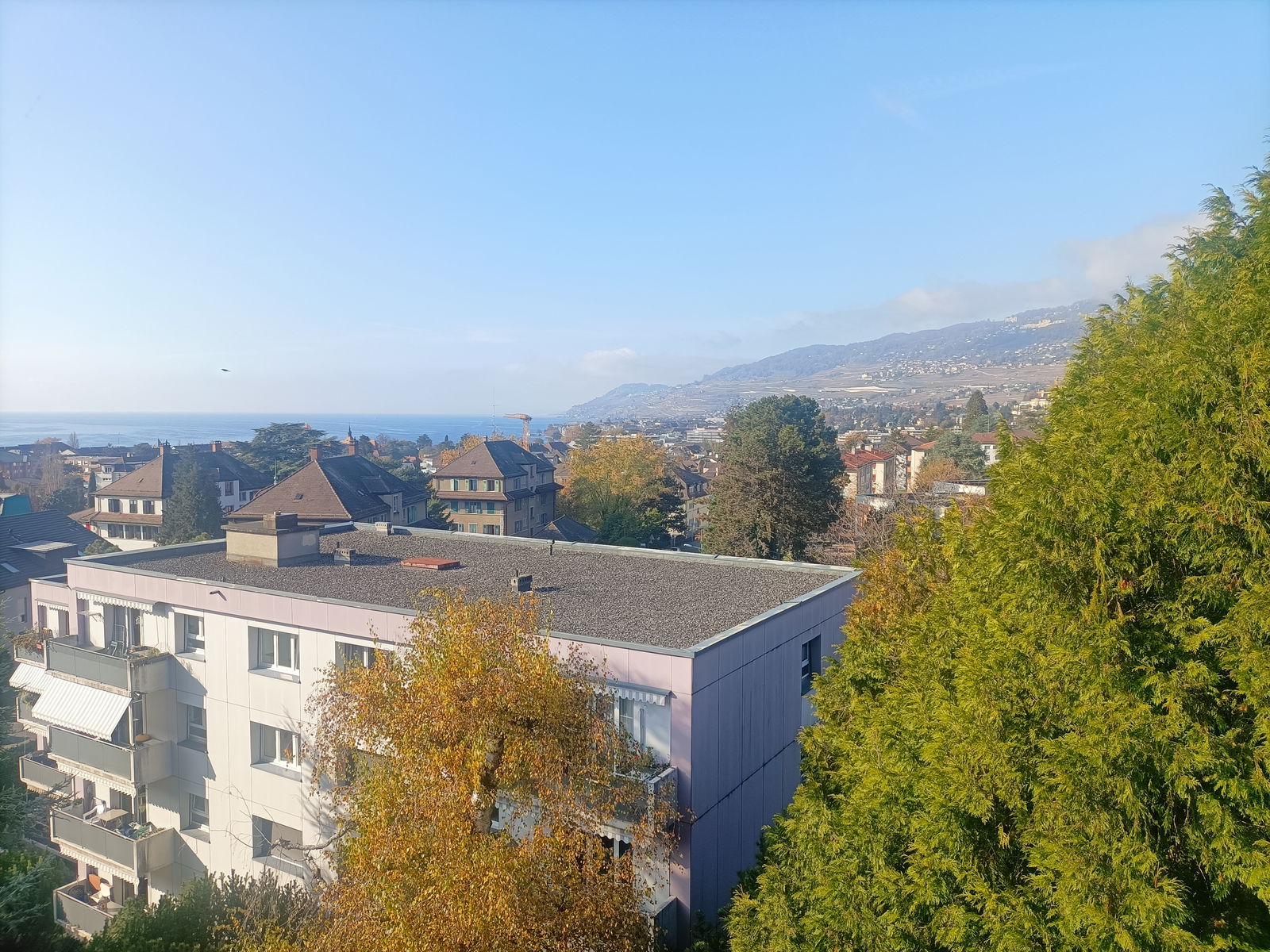 Chambre Chez L'habitant La Tour-de-Peilz 261235