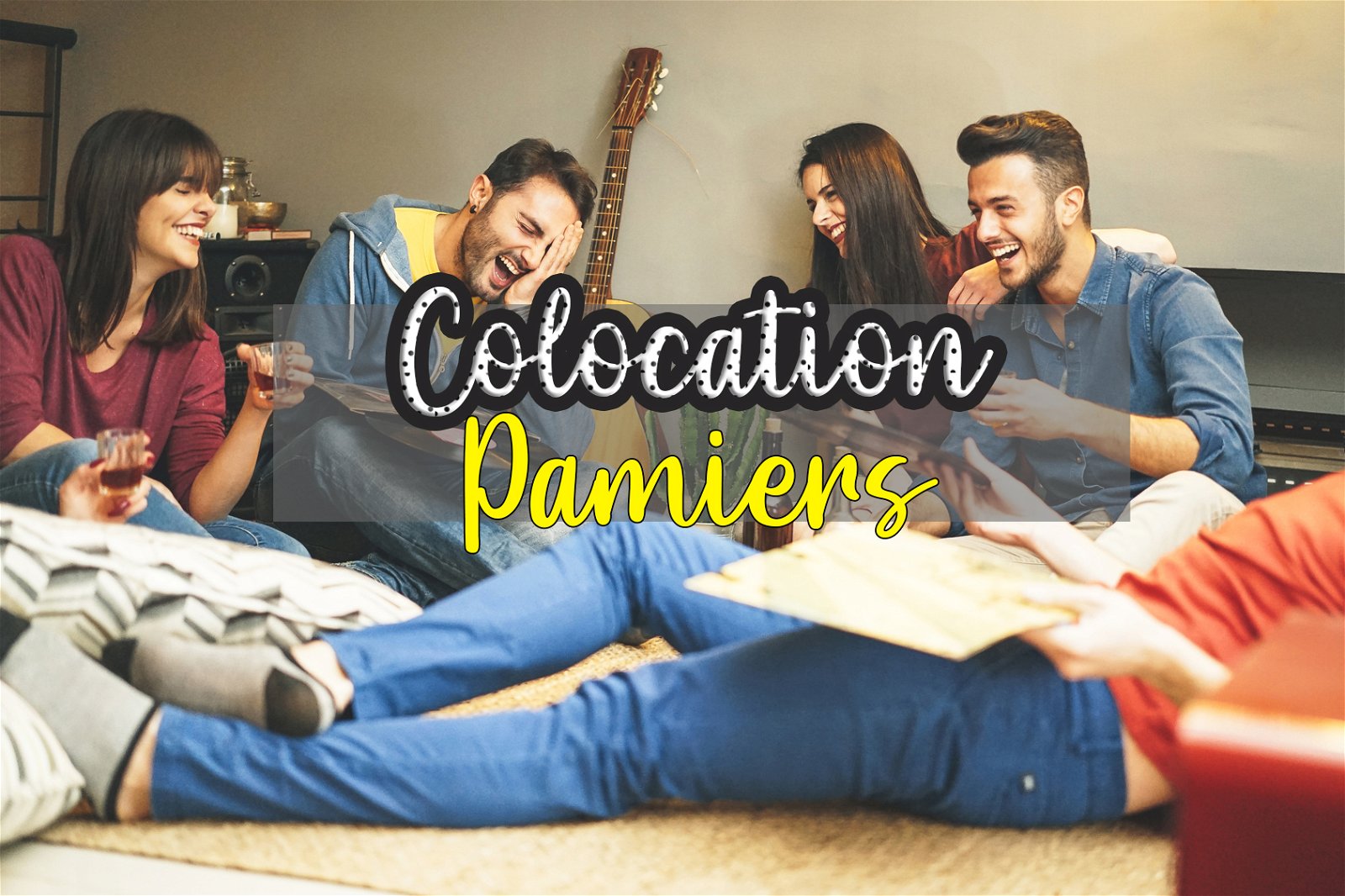 Colocation Pamiers 252211