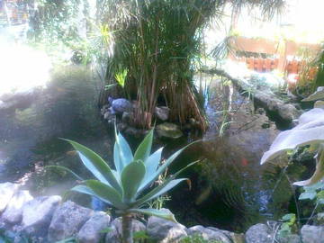 Logement Entier Vistabella 94800-5