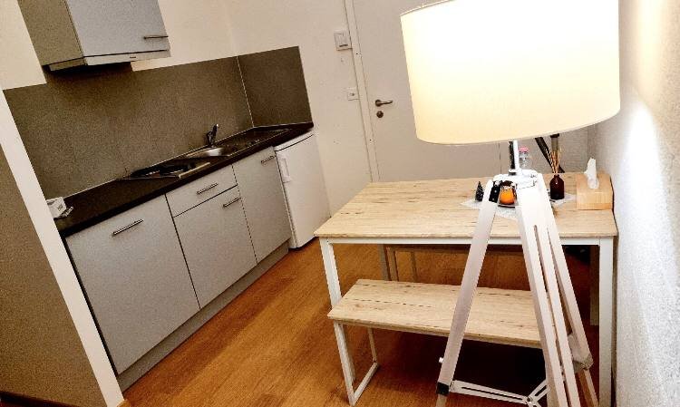 Itsenäinen Studio Le Mont-sur-Lausanne 263624