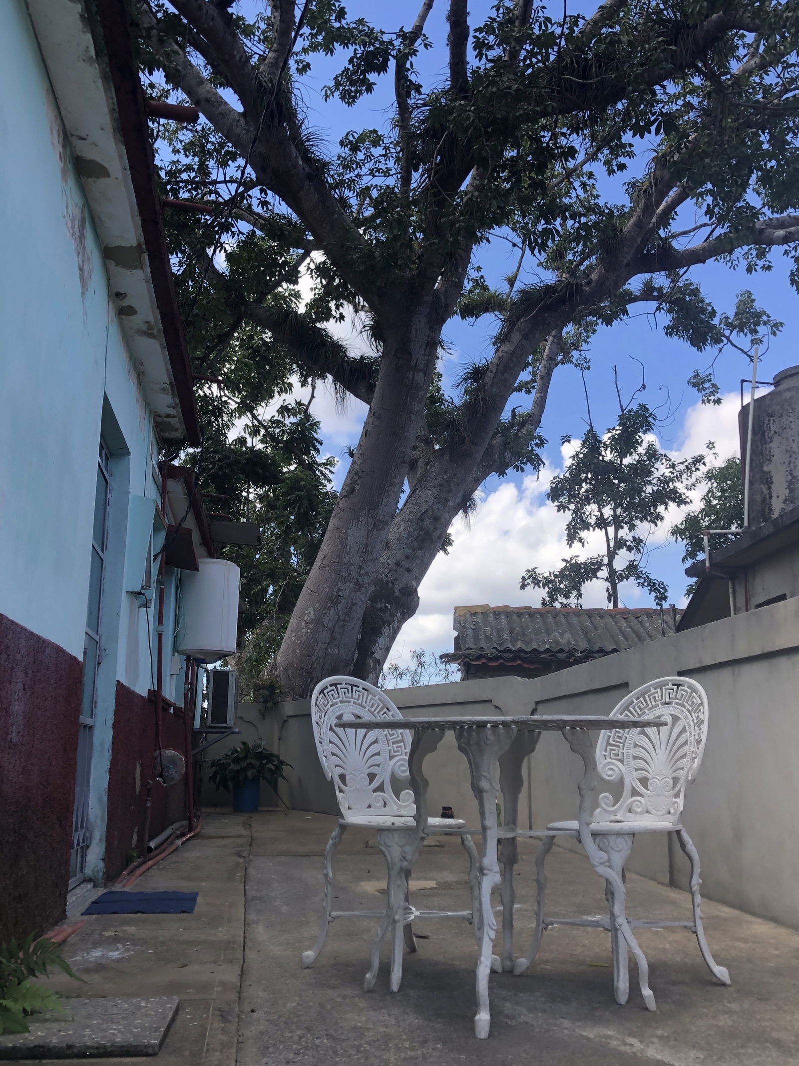 Chambre Chez L'habitant Viñales 266218