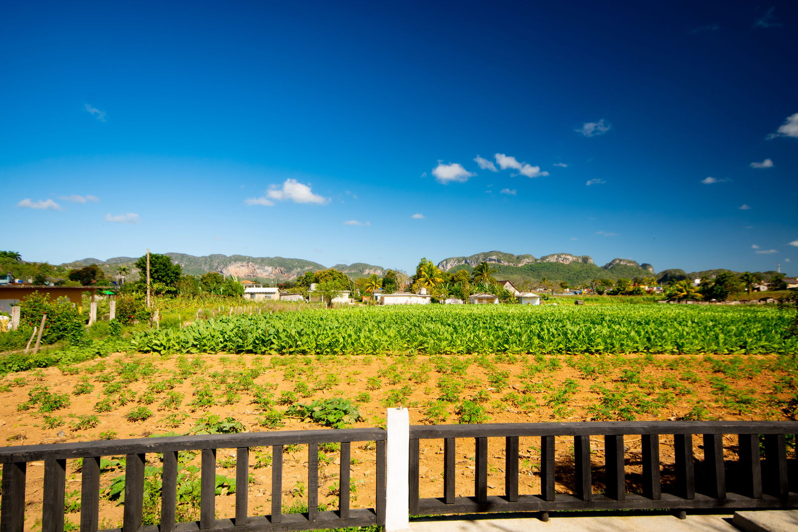 Chambre Chez L'habitant Viñales 266219