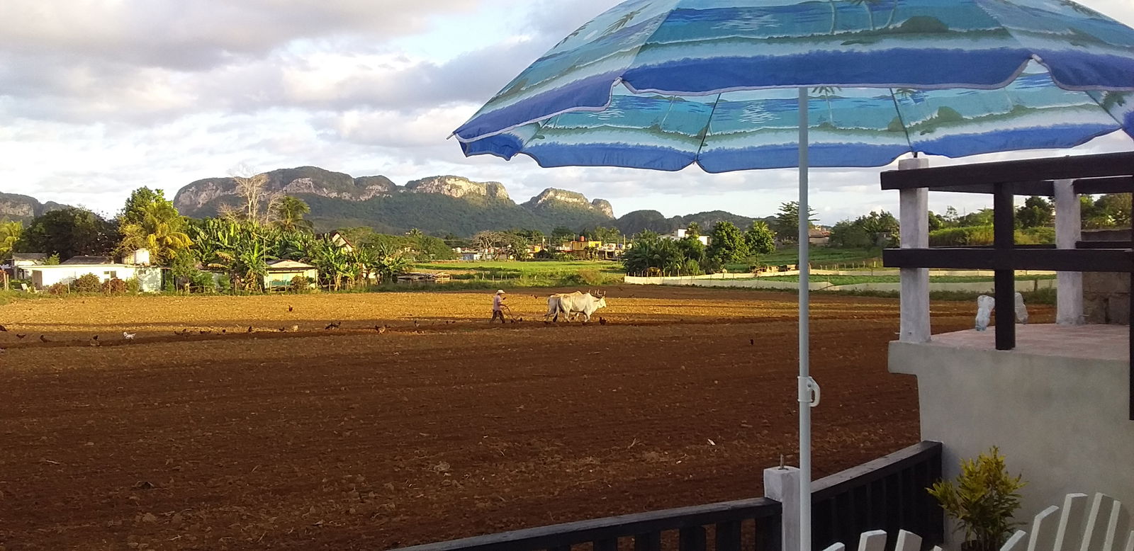 Chambre Chez L'habitant Viñales 266219